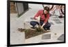 Woman Gardening-William P. Gottlieb-Framed Photographic Print