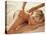 Woman Getting a Back Massage-null-Stretched Canvas
