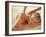 Woman Getting a Back Massage-null-Framed Photographic Print