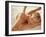 Woman Getting a Back Massage-null-Framed Photographic Print