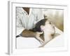 Woman Getting a Massage at a Spa-null-Framed Photographic Print