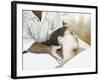 Woman Getting a Massage at a Spa-null-Framed Photographic Print