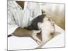 Woman Getting a Massage at a Spa-null-Mounted Photographic Print