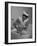 Woman Giving a Baby a Bath at a Nursery-null-Framed Photographic Print