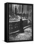 Woman Grieving over Wreckage of Catholic Church Burned During Uprising Against Peron-null-Framed Stretched Canvas