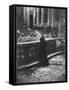 Woman Grieving over Wreckage of Catholic Church Burned During Uprising Against Peron-null-Framed Stretched Canvas