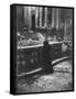 Woman Grieving over Wreckage of Catholic Church Burned During Uprising Against Peron-null-Framed Stretched Canvas