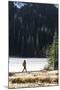 Woman Hiker Walks Alongside A Frozen Lake In The Olympic Mountain High Country During Winter In WA-Hannah Dewey-Mounted Photographic Print