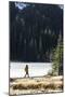 Woman Hiker Walks Alongside A Frozen Lake In The Olympic Mountain High Country During Winter In WA-Hannah Dewey-Mounted Photographic Print