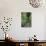 Woman Hiking in the Forest of Cubo De La Galga, Biosphere Reserve Los Tilos, Canary Islands-Gerhard Wild-Photographic Print displayed on a wall