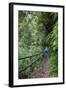 Woman Hiking in the Forest of Cubo De La Galga, Biosphere Reserve Los Tilos, Canary Islands-Gerhard Wild-Framed Photographic Print