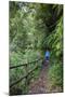 Woman Hiking in the Forest of Cubo De La Galga, Biosphere Reserve Los Tilos, Canary Islands-Gerhard Wild-Mounted Photographic Print