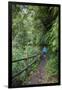 Woman Hiking in the Forest of Cubo De La Galga, Biosphere Reserve Los Tilos, Canary Islands-Gerhard Wild-Framed Photographic Print