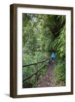 Woman Hiking in the Forest of Cubo De La Galga, Biosphere Reserve Los Tilos, Canary Islands-Gerhard Wild-Framed Photographic Print