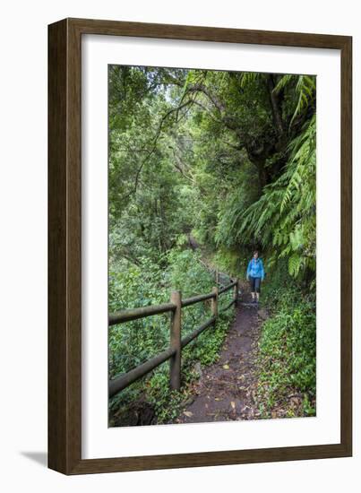 Woman Hiking in the Forest of Cubo De La Galga, Biosphere Reserve Los Tilos, Canary Islands-Gerhard Wild-Framed Photographic Print