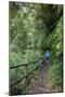 Woman Hiking in the Forest of Cubo De La Galga, Biosphere Reserve Los Tilos, Canary Islands-Gerhard Wild-Mounted Photographic Print