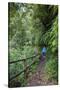 Woman Hiking in the Forest of Cubo De La Galga, Biosphere Reserve Los Tilos, Canary Islands-Gerhard Wild-Stretched Canvas