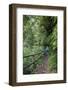 Woman Hiking in the Forest of Cubo De La Galga, Biosphere Reserve Los Tilos, Canary Islands-Gerhard Wild-Framed Photographic Print