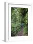 Woman Hiking in the Forest of Cubo De La Galga, Biosphere Reserve Los Tilos, Canary Islands-Gerhard Wild-Framed Photographic Print