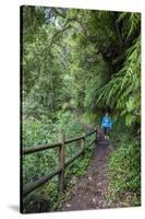 Woman Hiking in the Forest of Cubo De La Galga, Biosphere Reserve Los Tilos, Canary Islands-Gerhard Wild-Stretched Canvas