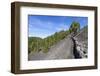 Woman Hiking in the Volcano Landscape of the Nature Reserve Cumbre Vieja, La Palma, Spain-Gerhard Wild-Framed Photographic Print