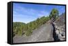 Woman Hiking in the Volcano Landscape of the Nature Reserve Cumbre Vieja, La Palma, Spain-Gerhard Wild-Framed Stretched Canvas