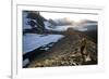 Woman Hiking Near Mount Olympus and Blue Glacier-Colin Brynn-Framed Photographic Print