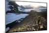 Woman Hiking Near Mount Olympus and Blue Glacier-Colin Brynn-Mounted Photographic Print