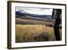 Woman Hold Her Shotgun While Out Bird Hunting In Montana-Hannah Dewey-Framed Photographic Print