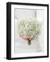 Woman Holding a Bouquet of Gypsophila-null-Framed Photographic Print