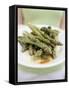 Woman Holding a Plate of Grilled Green Asparagus-null-Framed Stretched Canvas