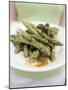 Woman Holding a Plate of Grilled Green Asparagus-null-Mounted Photographic Print