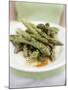 Woman Holding a Plate of Grilled Green Asparagus-null-Mounted Photographic Print