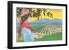 Woman Holding Almonds, California-null-Framed Art Print