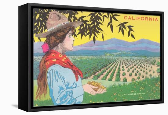 Woman Holding Almonds, California-null-Framed Stretched Canvas