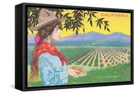 Woman Holding Almonds, California-null-Framed Stretched Canvas