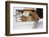 Woman Holding Box of Frozen Corn-William P. Gottlieb-Framed Photographic Print