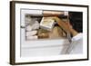 Woman Holding Box of Frozen Corn-William P. Gottlieb-Framed Photographic Print