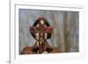 Woman holding forth a crucifix, Isere, France-Godong-Framed Photographic Print