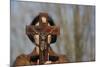 Woman holding forth a crucifix, Isere, France-Godong-Mounted Photographic Print