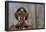 Woman holding forth a crucifix, Isere, France-Godong-Framed Photographic Print