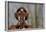 Woman holding forth a crucifix, Isere, France-Godong-Framed Photographic Print