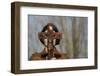 Woman holding forth a crucifix, Isere, France-Godong-Framed Photographic Print