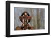 Woman holding forth a crucifix, Isere, France-Godong-Framed Photographic Print