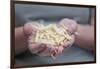 Woman Holding Green Beans in Her Palms-Joe Petersburger-Framed Photographic Print