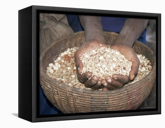 Woman Holding Handfuls of Grain, Soddo, Ethiopia, Africa-D H Webster-Framed Stretched Canvas