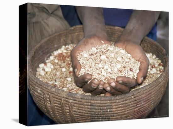 Woman Holding Handfuls of Grain, Soddo, Ethiopia, Africa-D H Webster-Stretched Canvas