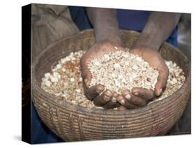 Woman Holding Handfuls of Grain, Soddo, Ethiopia, Africa-D H Webster-Stretched Canvas