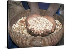 Woman Holding Handfuls of Grain, Soddo, Ethiopia, Africa-D H Webster-Stretched Canvas