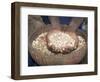 Woman Holding Handfuls of Grain, Soddo, Ethiopia, Africa-D H Webster-Framed Photographic Print